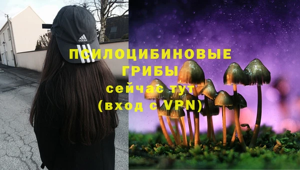 a pvp Абаза