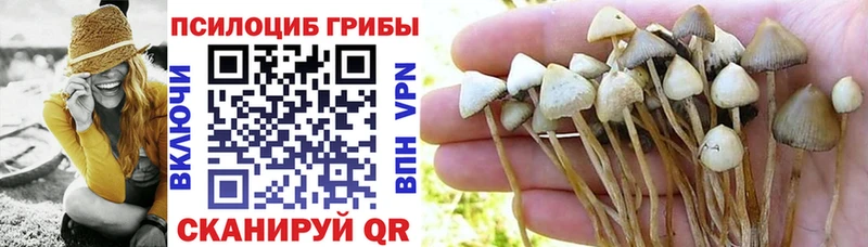 Галлюциногенные грибы мухоморы  даркнет сайт  Южноуральск 
